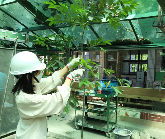 北分署宜蘭職業訓練場造園景觀班訓練實況(非文中個案)_Instructions for literal