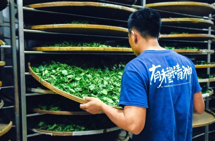 北分署多元培力大市集-有種茶產業運銷合作社結合坪林青年茶農推出包種茶_Instructions for literal