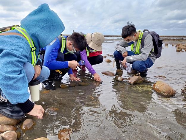 桃園市新屋區永興社區發展協會在桃竹苗分署協助下成功提升能見度，吸引更多民眾關注藻礁生態發展及保育。圖為民眾體驗藻礁生態導覽活動。