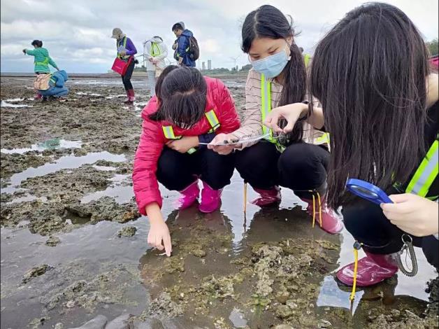 新屋區永興社區發展協會帶領民眾認識珍貴的藻礁生態資源。.JPG