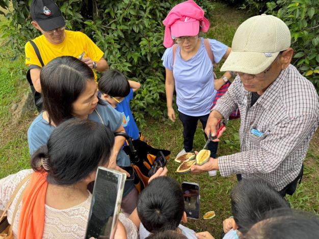 圖2.南投縣集集鎮形象商圈觀光發展協會帶領民眾參觀集集愛玉園並體驗手洗愛玉DIY_Instructions for literal